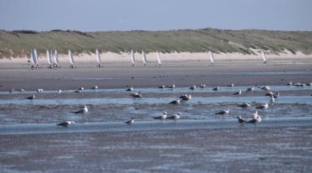 Ozone - Ecole Char à Voile Baie de Somme